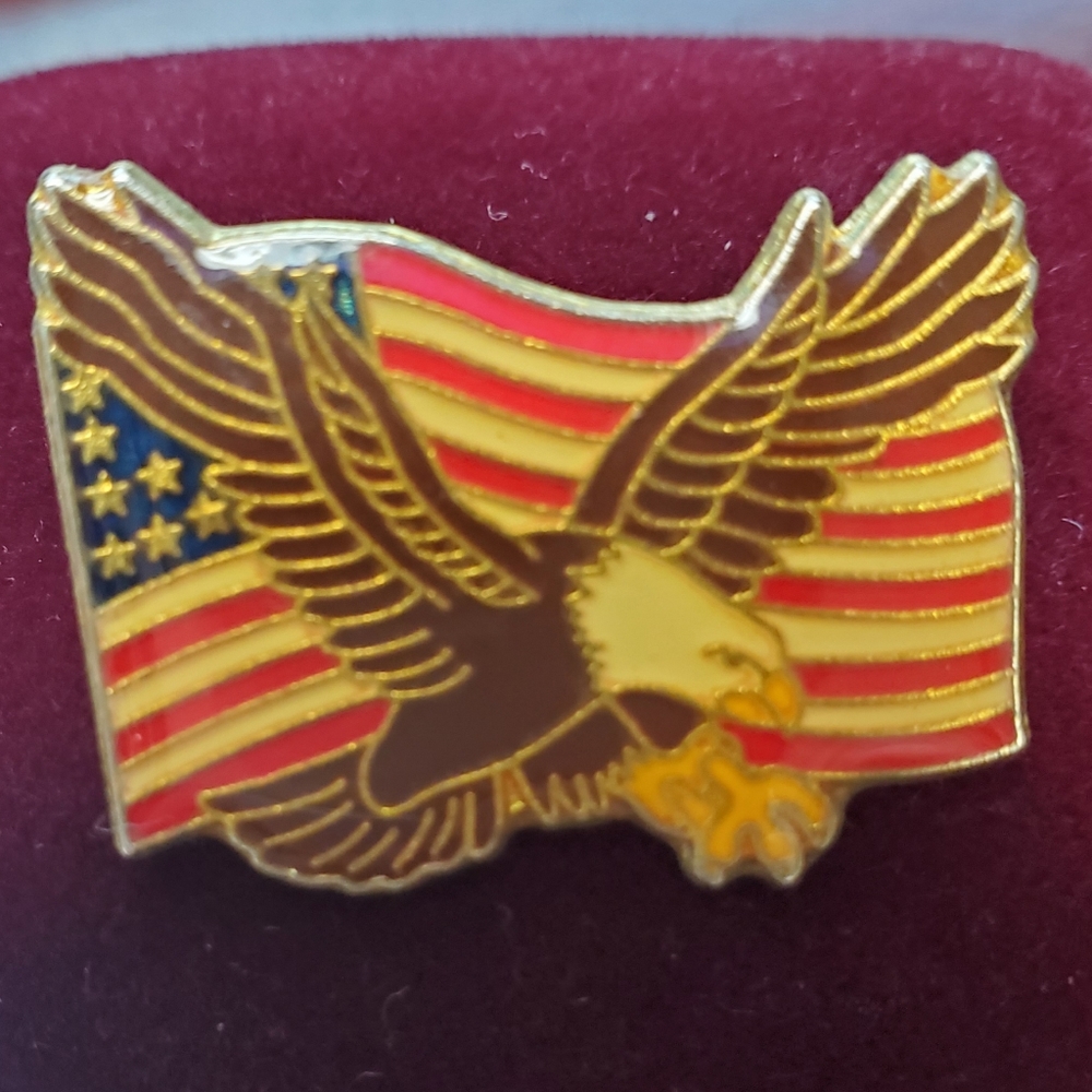 American Flag & Bald Eagle pin